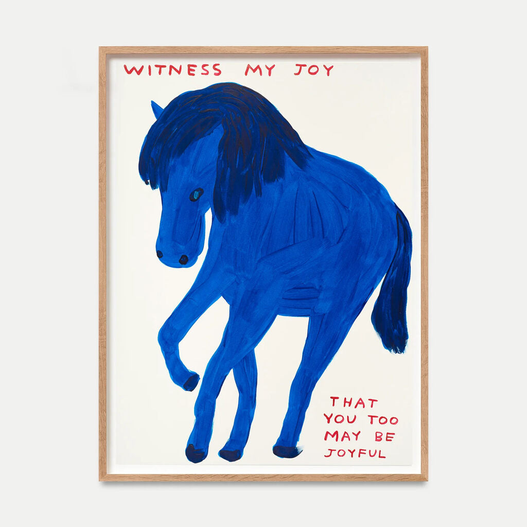 Witness my Joy, 2022 by David Shrigley | Monitillo Gallery