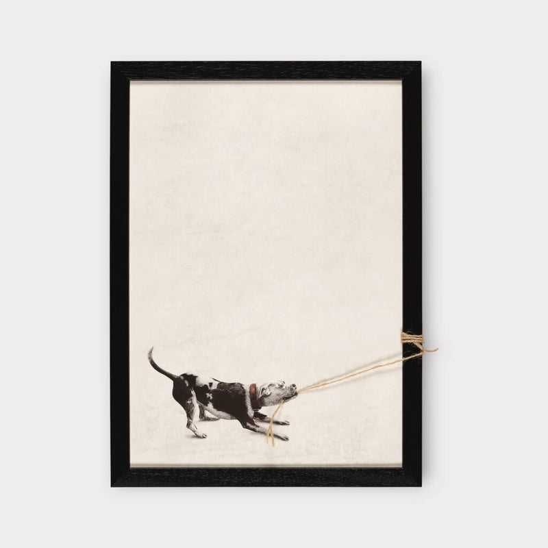 Tyson, 2025 by Andrew Scott | Monitillo Gallery