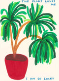 The plant loves me, 2023 by David Shrigley | Monitillo Gallery