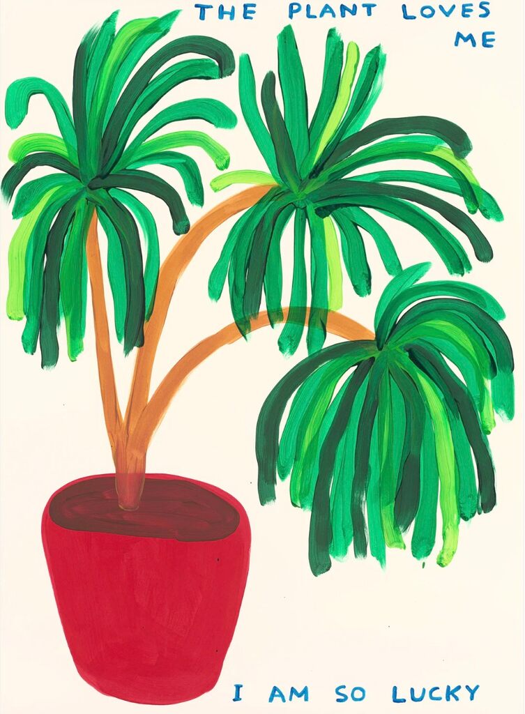 The plant loves me, 2023 by David Shrigley | Monitillo Gallery