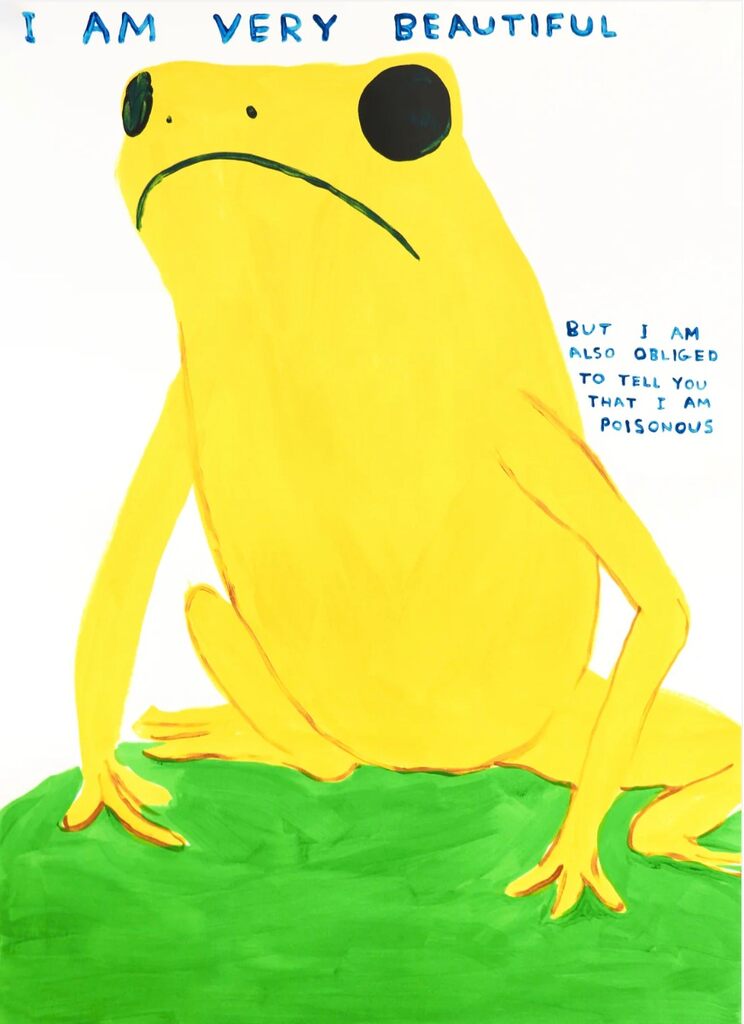 I am very beautiful, 2025 by David Shrigley | Monitillo Gallery