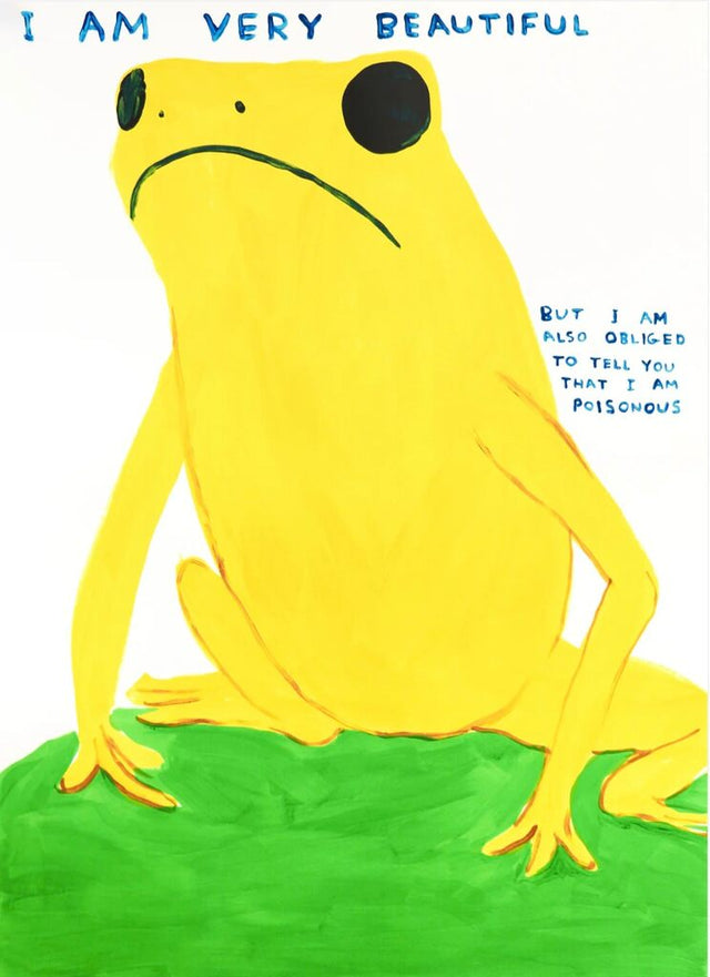 I am very beautiful, 2025 by David Shrigley | Monitillo Gallery