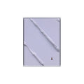 Lilac, 2025 by Werner Bronkhorst | Monitillo Gallery